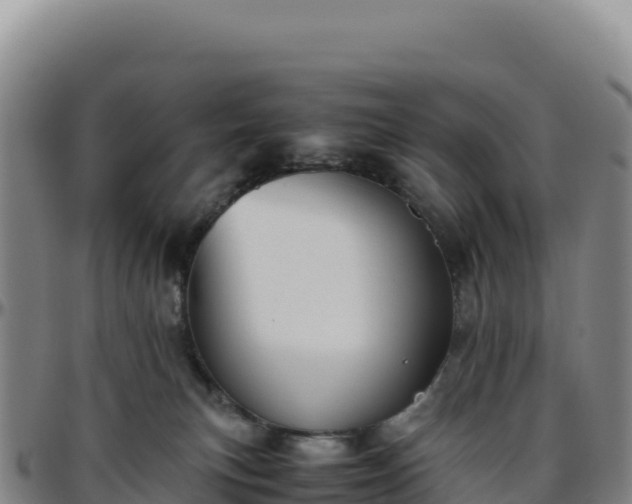 X0000096480183200801311604