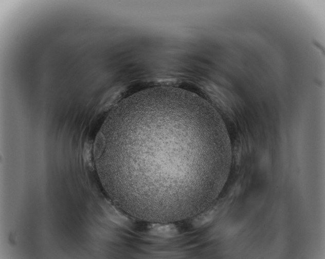 X0000096480185200801311604