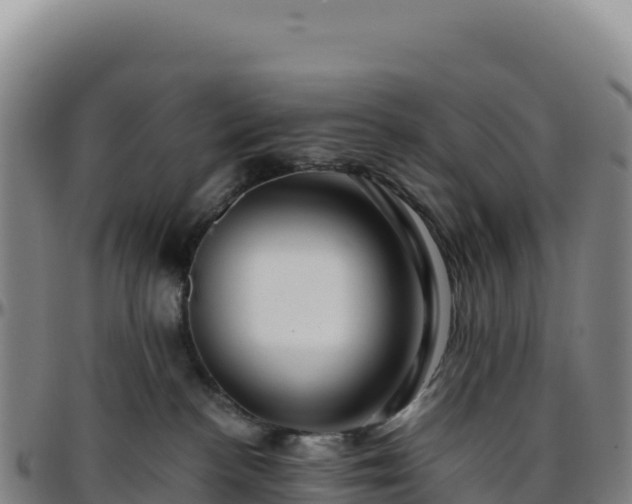 X0000096480188200801311604