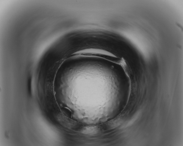 X0000096480189200801311604