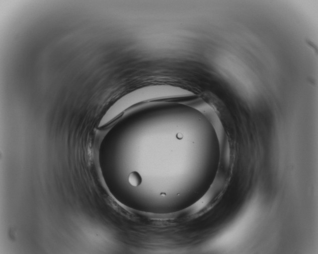 X0000096480190200801311604