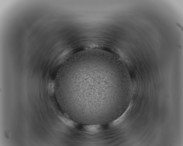 X0000096480191200801311604