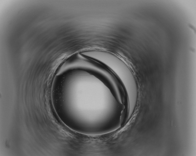 X0000096480193200801311603