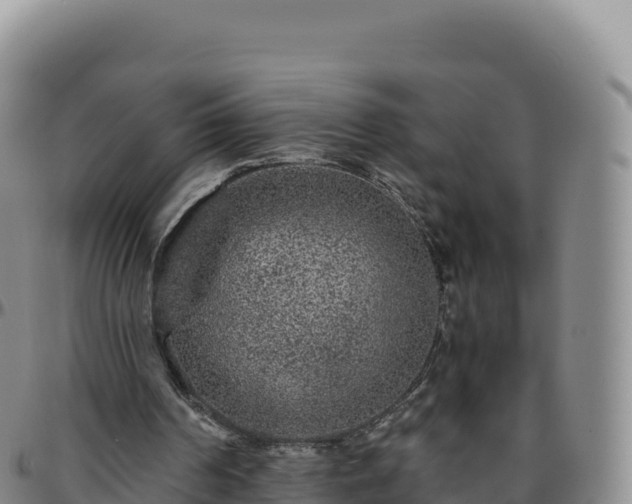 X0000096480194200801311603