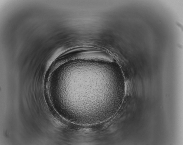 X0000096480195200801311603