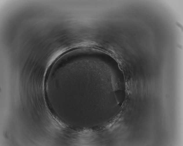 X0000096480196200801311603