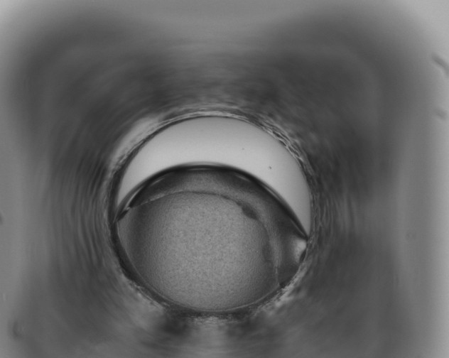 X0000096480197200801311603