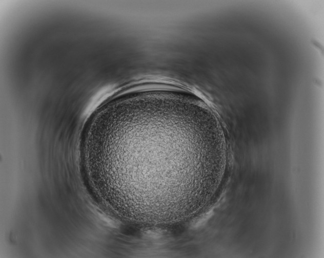 X0000096480199200801311603