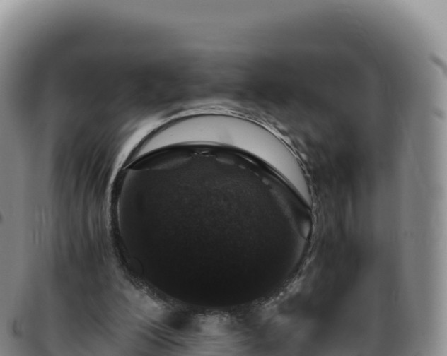 X0000096480200200801311603