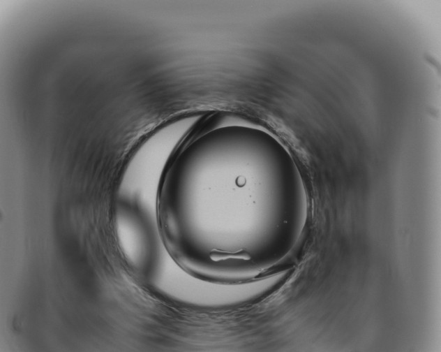 X0000096480201200801311603