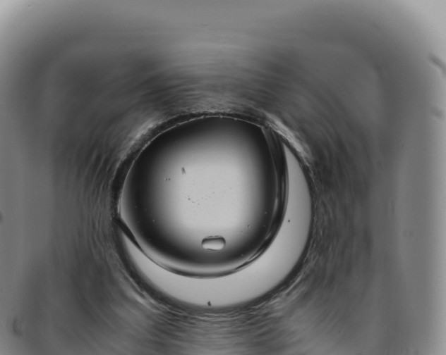 X0000096480203200801311603