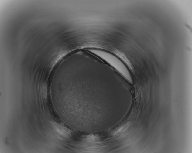 X0000096480204200801311603