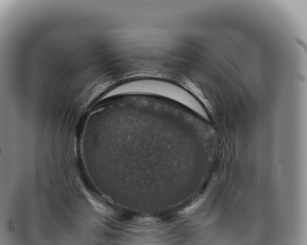 X0000096480205200801311603