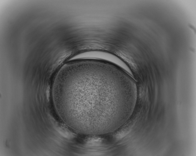 X0000096480206200801311603