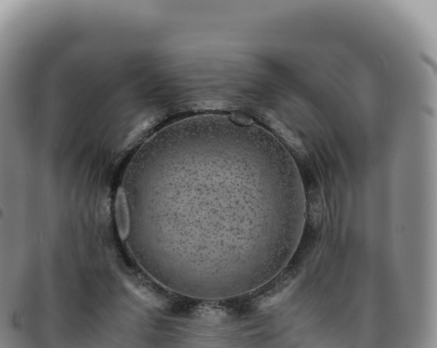 X0000096480207200801311603