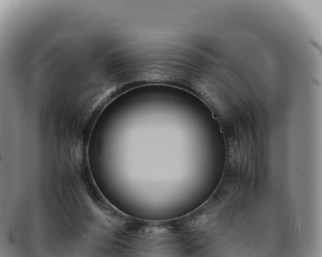 X0000096480208200801311603