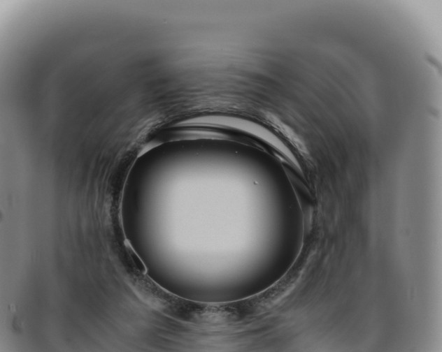 X0000096480209200801311603