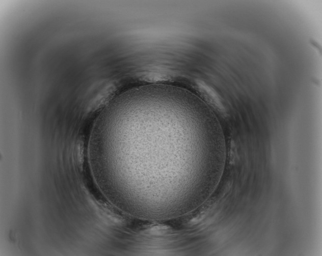 X0000096480210200801311603