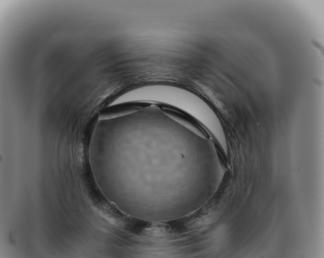 X0000096480211200801311603