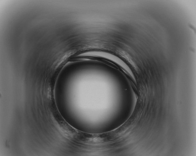 X0000096480212200801311603