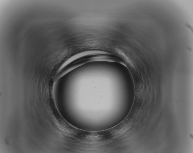 X0000096480213200801311603