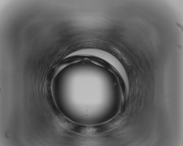 X0000096480217200801311603