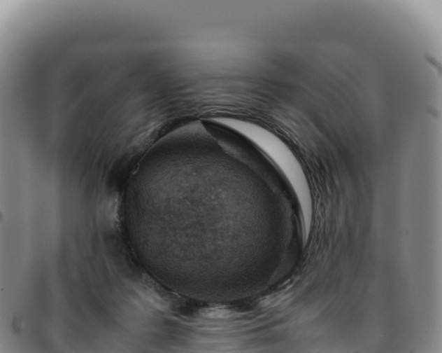 X0000096480219200801311603