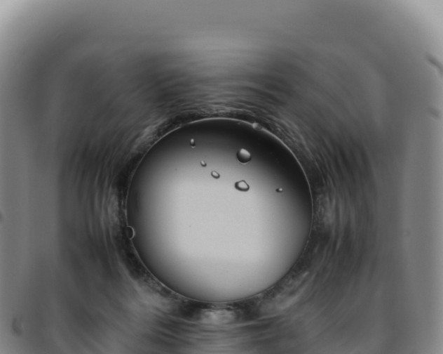 X0000096480220200801311603