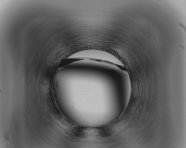 X0000096480221200801311603