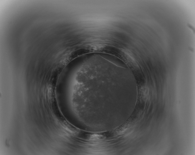 X0000096480222200801311603