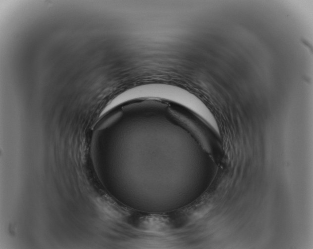 X0000096480223200801311603