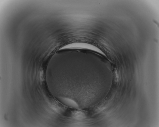 X0000096480224200801311603