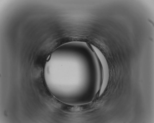 X0000096480225200801311603