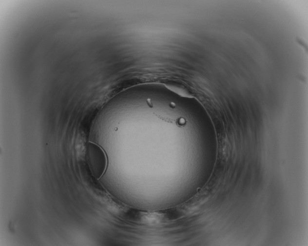 X0000096480226200801311603