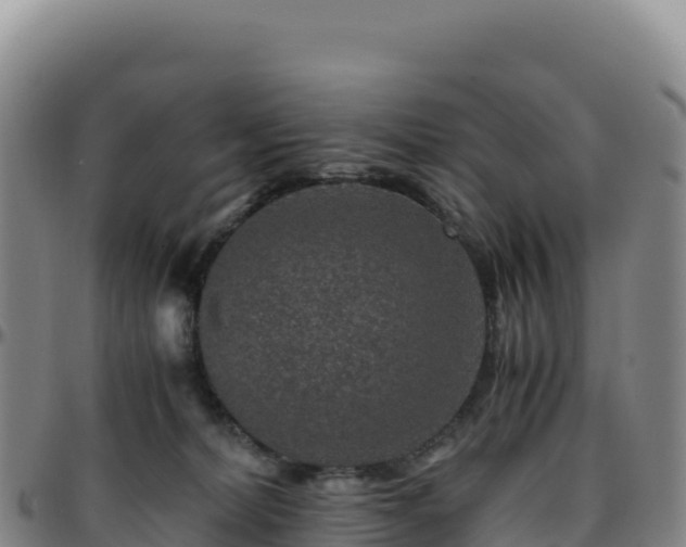 X0000096480228200801311603