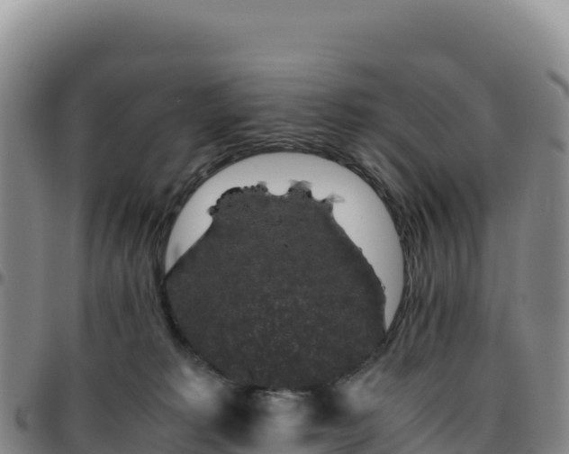 X0000096480229200801311603