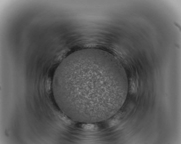 X0000096480230200801311603