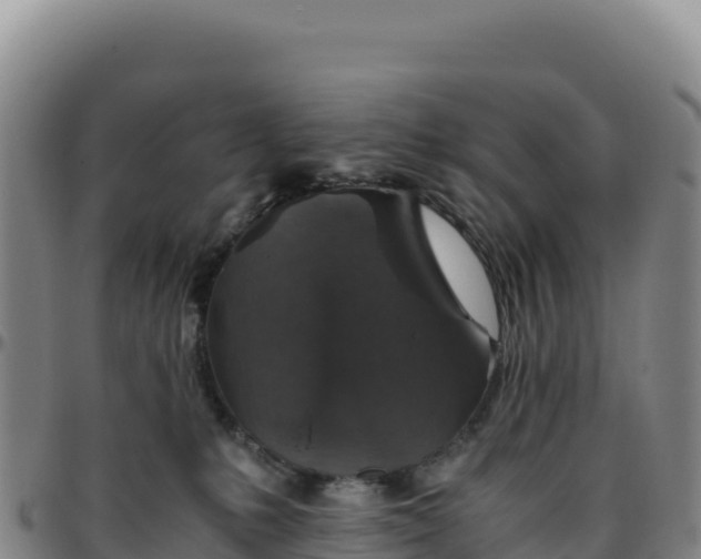 X0000096480231200801311603