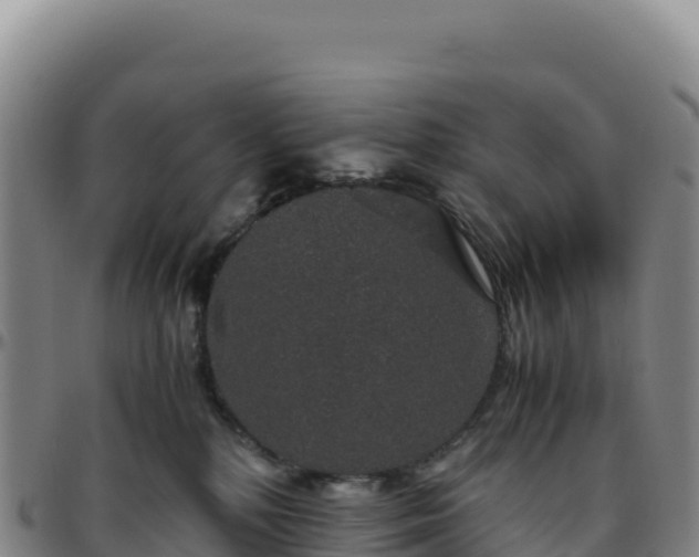 X0000096480232200801311603