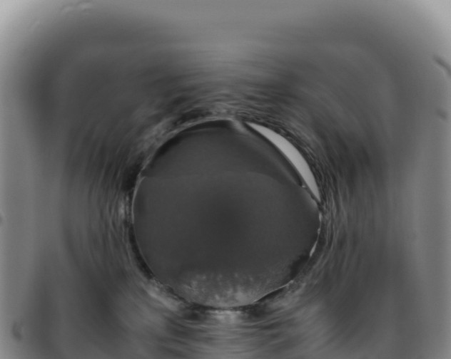 X0000096480233200801311603