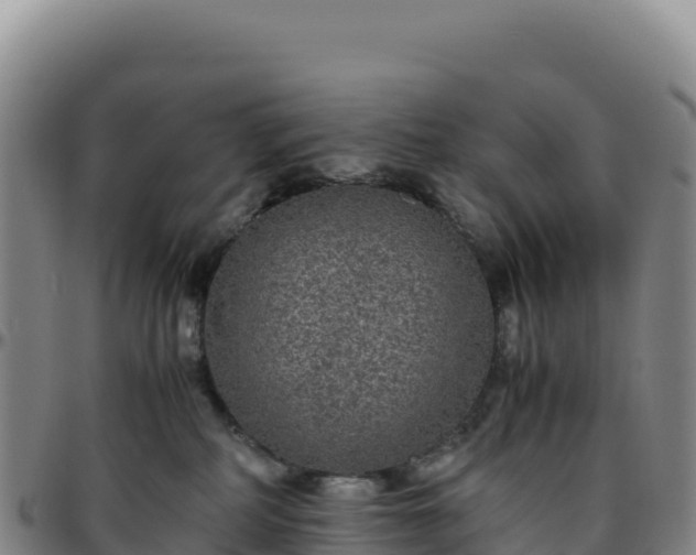 X0000096480234200801311603