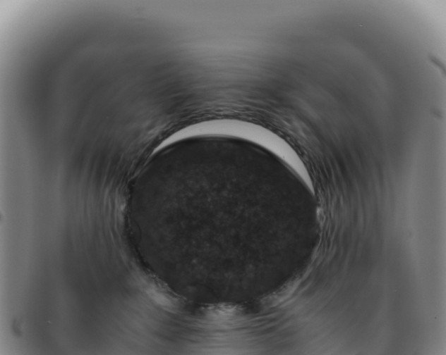 X0000096480235200801311603