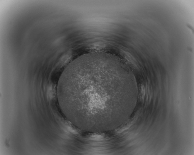 X0000096480236200801311603