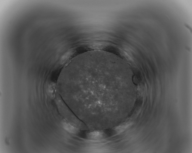 X0000096480237200801311603