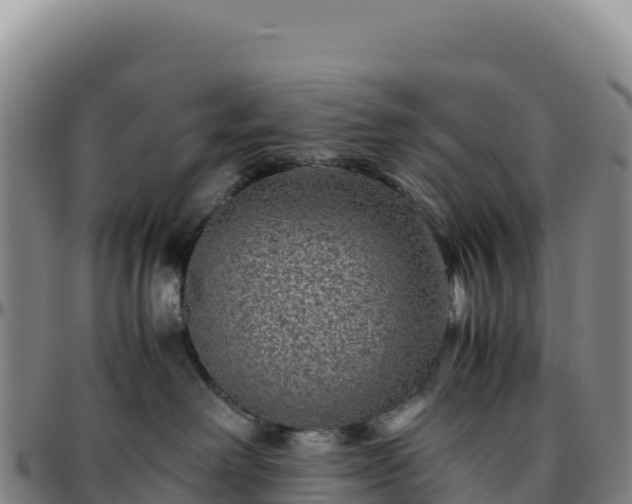 X0000096480238200801311603