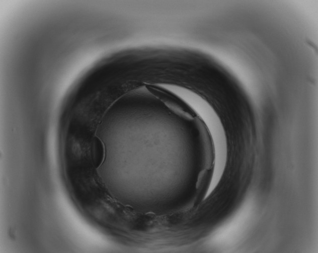 X0000096480239200801311603