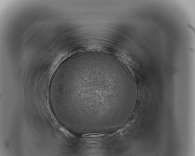 X0000096480241200801311602