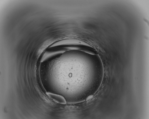 X0000096480242200801311602