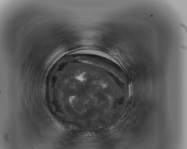 X0000096480243200801311602