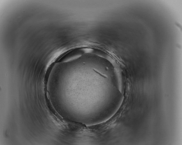 X0000096480244200801311602